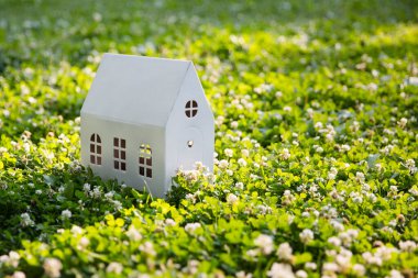 Yeşil alana karşı karton ev. ekoloji ve aile kavramı