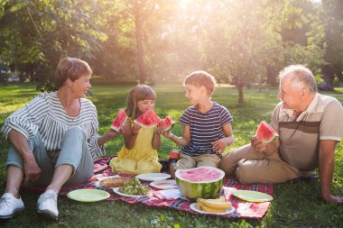 Mutlu aile parkta piknik yapıyor. 