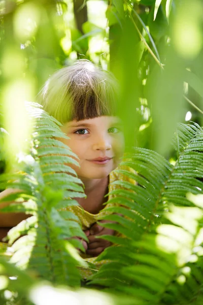 Kislány Játszik Páfrány Levél Nyári Erdő Vidám Játékok Természetben Maradások — Stock Fotó