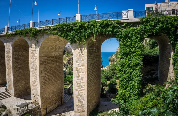 Güzel eski Polignano a Mare, İtalya köprü. İçinde belgili tanımlık geçmiş güzel deniz