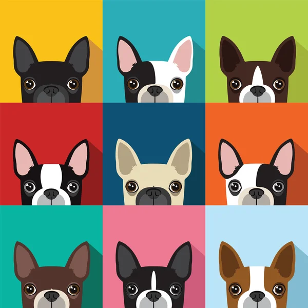 Patrón de Boston Terrier — Archivo Imágenes Vectoriales