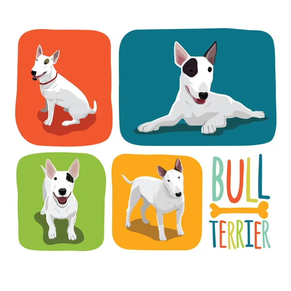 Sonriendo excelente Bull Terrier . — Vector de stock