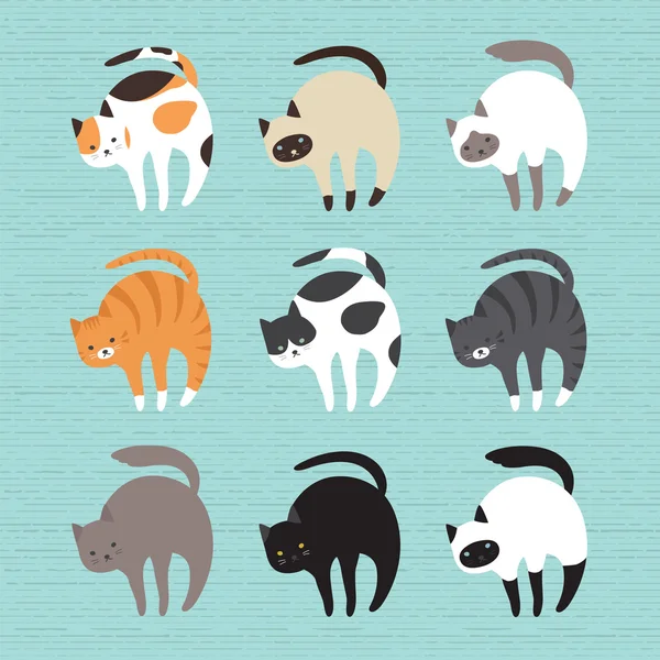 Set Chats mignons — Image vectorielle