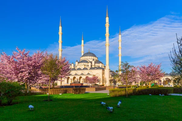 De moskee vernoemd naar Akhmad Kadyrov in Grozny — Stockfoto