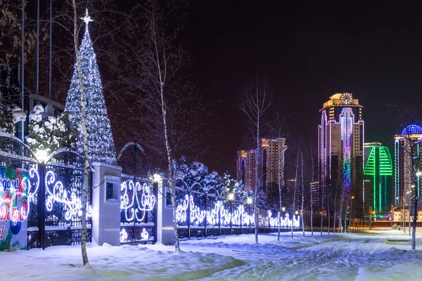 Noel ağacı Grozny dışında