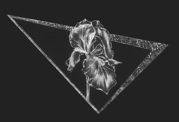 Ornamento étnico geométrico, flor da íris — Fotografia de Stock