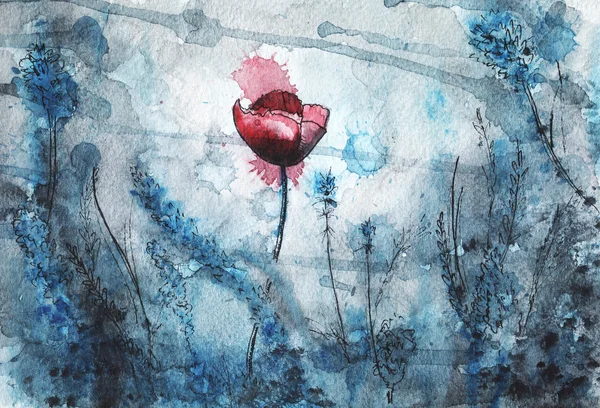 Aquarel illustratie. rode papaver bloem — Stockfoto