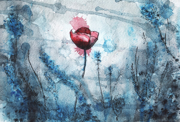 watercolor illustration. red poppy flower