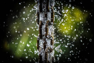 Su Sıçratan Metal Zinciri Macro Görünümü