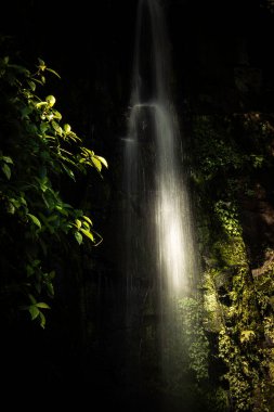 Brezilya Ormanındaki Küçük Şelaleyi Aydınlatan Güneş Işığı
