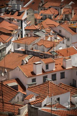 Lizbon, Portekiz 'deki Magenta Bougainvillea Odun Altında Çiçek Açar