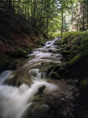 A gentle mountain stream cascades over moss-covered rocks in a lush forest. The long exposure captures the smooth motion of water surrounded by vibrant greenery and soft light.