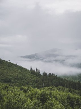 Fog drifts over the green forested slopes of the Low Tatra National Park, Slovakia. The mist-covered peaks and moody clouds create a peaceful and atmospheric mountain landscape.