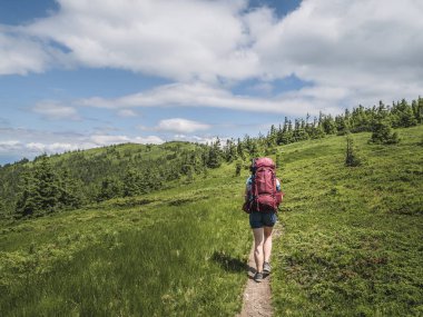 Slovakya 'nın Low Tatra Ulusal Parkı' ndaki açık çayırlar boyunca geniş bir sırt çantasıyla tek başına yürüyen bir bayan yürüyüşçü. Parlak güneş ışığı ve yeşil tepeler sakin ve maceralı bir manzara yaratır..