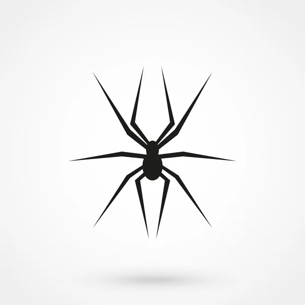 Spider icon on white background in flat style. Simple vector illustration — Stock Vector