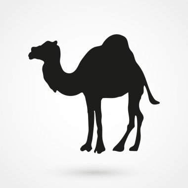 düz tarzda beyaz arka plan üzerinde deve simgesi. Basit vektör çizimi