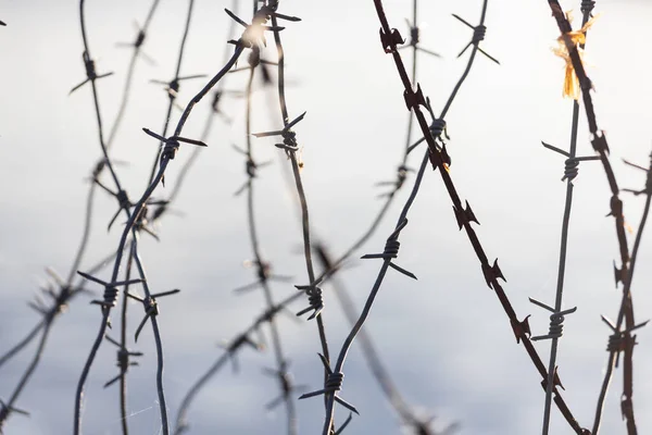 old barbed wire against the sky. High quality photo