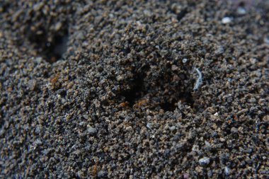 Siyah kum doku arka plan