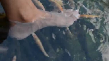 Havuzda bir adamın ayakları