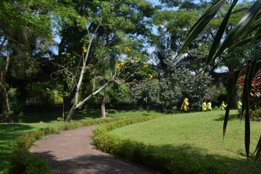 Parkın güzel manzarası