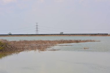 Parktaki nehir manzarası