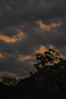 Karanlık fırtına bulutlarını gösteren dikey bir kompozisyon. Ağaçların ve evin arkasındaki altın ışıkla aydınlatılıyor.