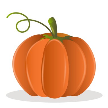 Kabak vektör çizim. Balkabağı beyaz zemin üzerinde. Organik gıda. Kabak simgesi. Afiş kabak