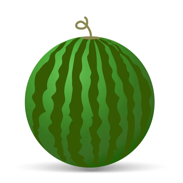 Wassermelonen-Vektorillustration. Wassermelone isoliert auf weißem Hintergrund — Stockvektor