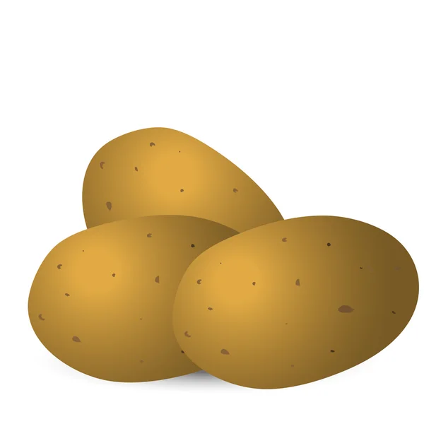 Illustrazione vettoriale delle patate. Patate isolate su fondo bianco — Vettoriale Stock