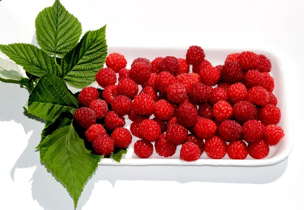 Delicious red berry — Stock Photo, Image
