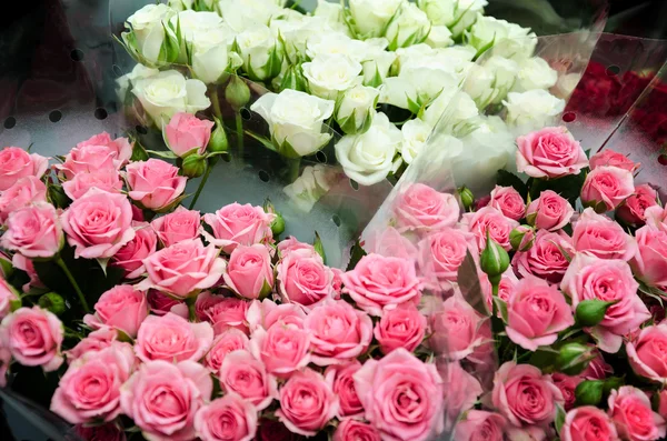 Růže Růžový Mnoho Krásné Praznik Narozeniny Valentýn Láska Svatba Náruč — Stock fotografie
