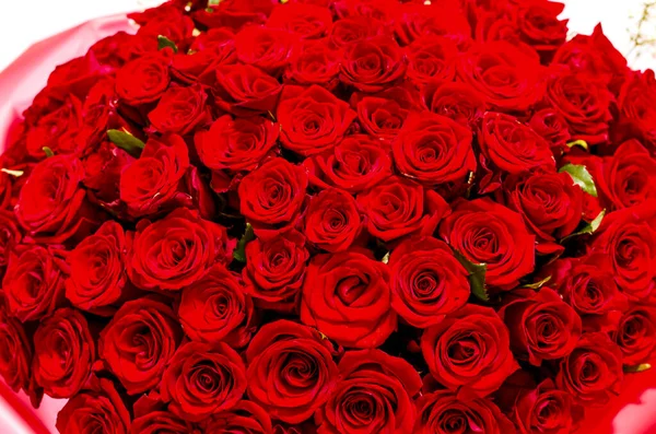 Červené Růže Obrovské Krásné Kytice Dovolenou Přírodní Pozadí Přírodních Rudých — Stock fotografie
