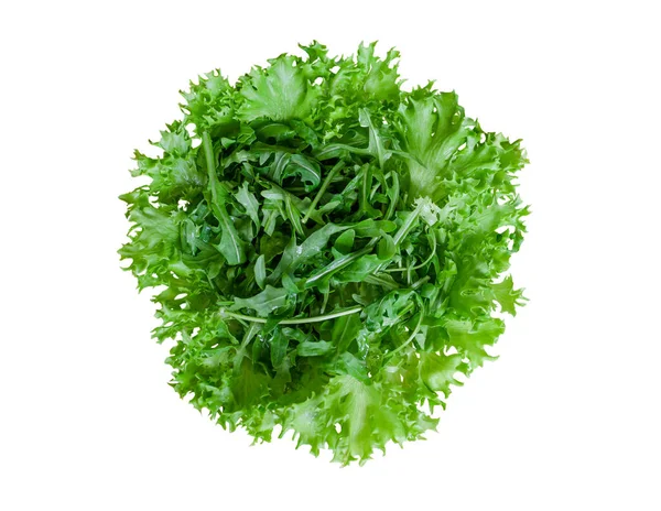 Green Lettuce Arugula Isolated White Background — Stock Photo, Image