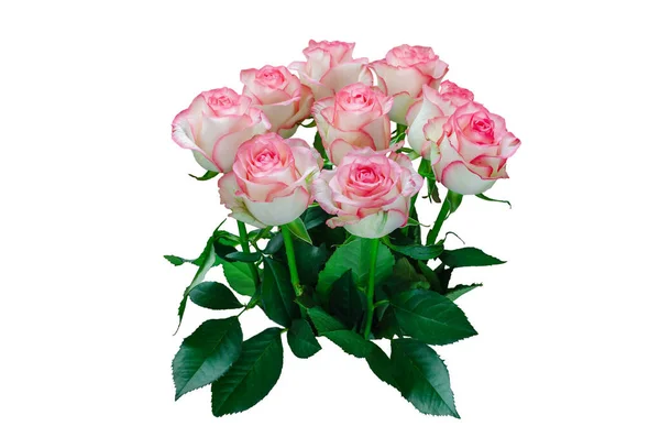 Bukiet Róż Odizolowanych Białym Tle Zbliżenie — Zdjęcie stockowe