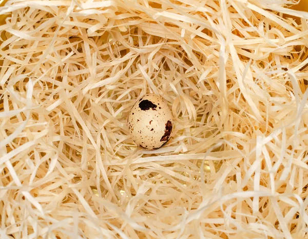 Quail Egg Straw Holiday Background Minimal Composition Closeup — Stock Photo, Image