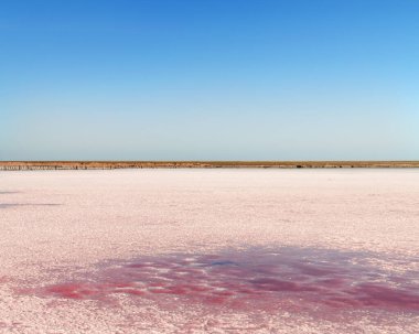Genichesk bölgesinin renkli pembe tuz gölünün manzarası, Arapatskaya Strelka 'nın kuzeyinde yer almaktadır, Ukrayna