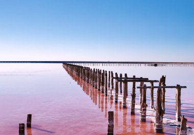 Genichesk bölgesinin renkli pembe tuz gölünün manzarası, Arapatskaya Strelka 'nın kuzeyinde yer almaktadır, Ukrayna