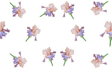 mor zambak çiçeği, beyaz arkaplanda parlak, pürüzsüz desen