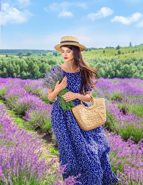 Young Beautiful Brunette Woman Dress Straw Hat Basket Flowers Lavender — Stock Photo, Image