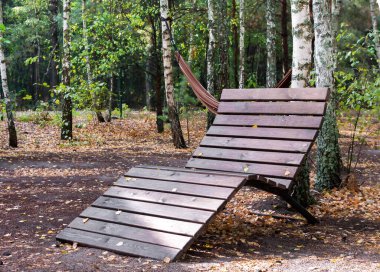 Ağaçlarla çevrili sessiz bir ormandaki patikada tahta şezlong. Düşen yapraklar doğadaki sonbaharın güzelliğini göstererek toprağı kaplar..