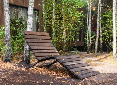 Ağaçlarla çevrili sessiz bir ormandaki patikada tahta şezlong. Düşen yapraklar doğadaki sonbaharın güzelliğini göstererek toprağı kaplar..