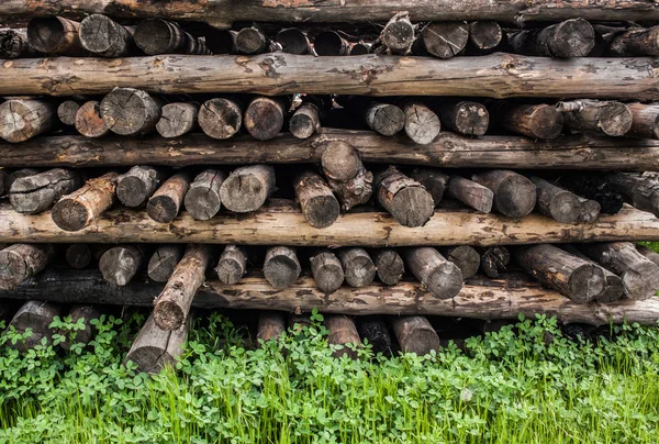 Dry wood storage — Stock Photo, Image