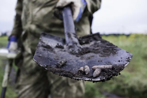 Search for bullets with metal detectors and shovels — Stock Photo, Image