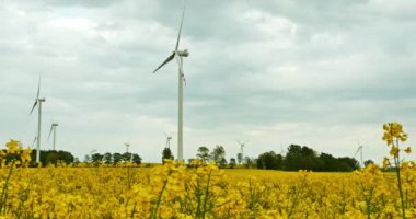 Yel değirmenleri iplik, tecavüz alanları tarafından çevrili