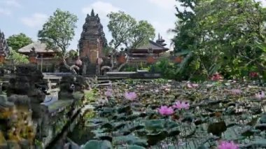 Tapınak Bali Endonezya 