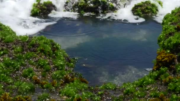 Olas de agua en la playa — Vídeo de stock