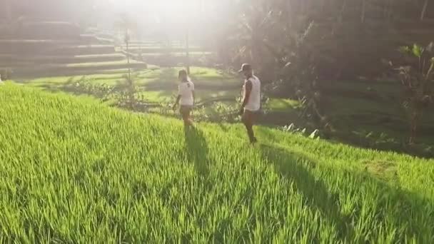 Chicas caminando en terrazas de arroz — Vídeos de Stock