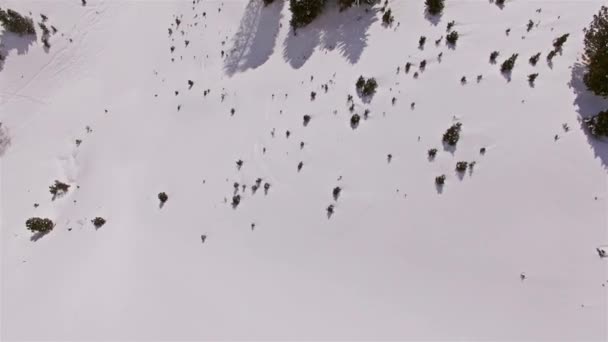 Estación de esquí en los Alpes italianos — Vídeos de Stock