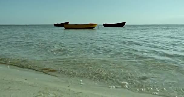 Boten verankerd in de zee — Stockvideo