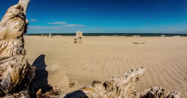 Plaża w Morning Timelapse — Wideo stockowe